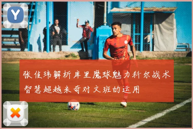 张佳玮解析库里魔球魅力科尔战术智慧超越米奇对文班的运用