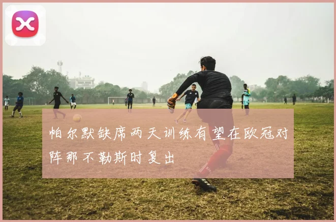 帕尔默缺席两天训练有望在欧冠对阵那不勒斯时复出